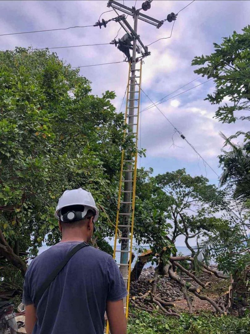 Fiberglass Extension Ladder 9